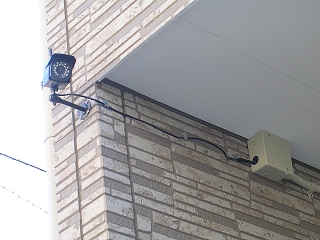 DSCN8093.jpg